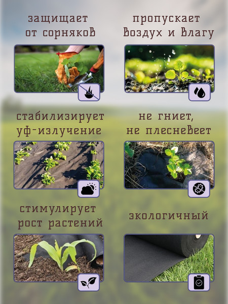 Укрывной материал ТерраТекстиль Спанбонд 80/1.60/10