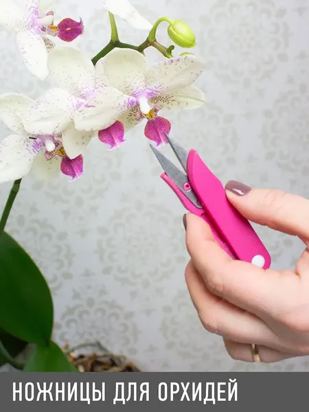Садовые ножницы механические Garden Show для орхидей 12x3.5см