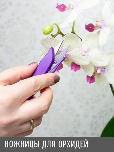 Садовые ножницы механические Garden Show для орхидей 12x3.5см
