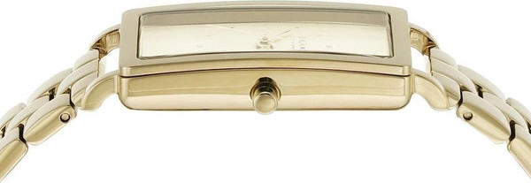 Часы наручные женские Skagen SKW3098