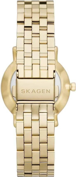 Часы наручные женские Skagen SKW3102