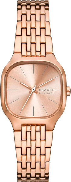 Часы наручные женские Skagen SKW3166 - фото