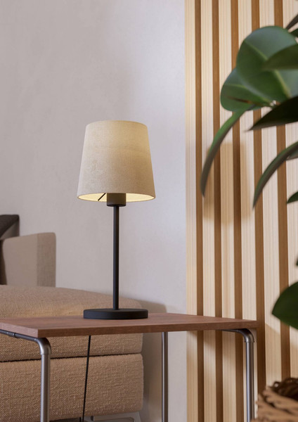 Прикроватная лампа Eglo Febres 901264