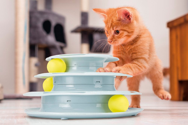 Игрушка для кошек Beeztees 440416