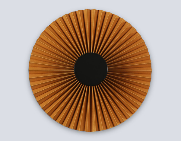 Светильник Ambrella LH72647 BK/CF