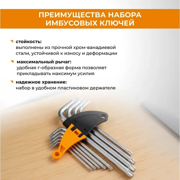 Набор ключей Rage Torx / 303141