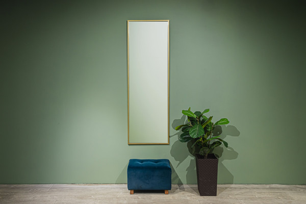 Зеркало Silver Mirrors Basis 50x150 / LED-00003078