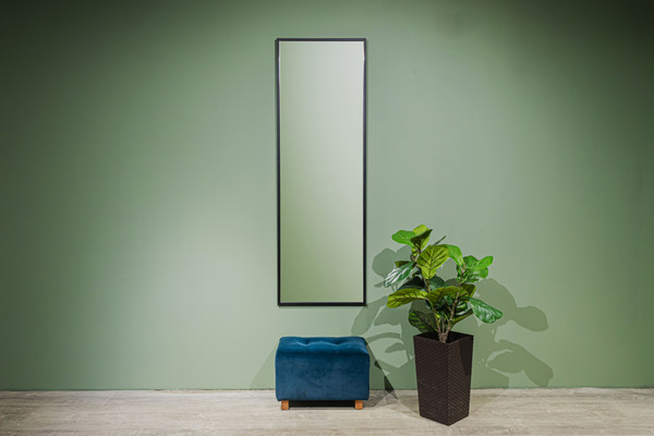 Зеркало Silver Mirrors Basis 50x150 / LED-00003077