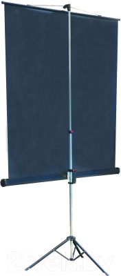 Проекционный экран Lumien Master View 128x171 / LMV-100106