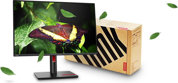 Монитор Lenovo ThinkVision T24d-30 (63FFMAT1UK)