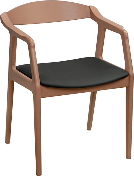 Стул Sheffilton SHT-S202 - фото