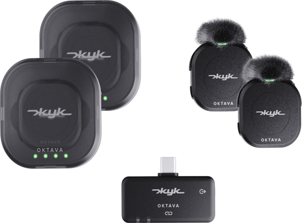 Радиосистема микрофонная Октава Жук-2-Ч - фото