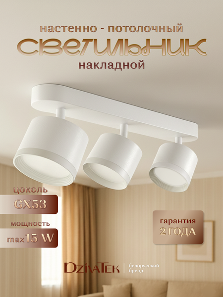 Спот DzivaTek 61041