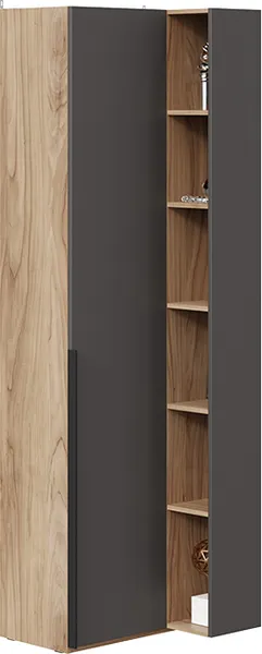 Шкаф ТриЯ Порто СМ-393.21.024 угловой с глухой дверью - фото