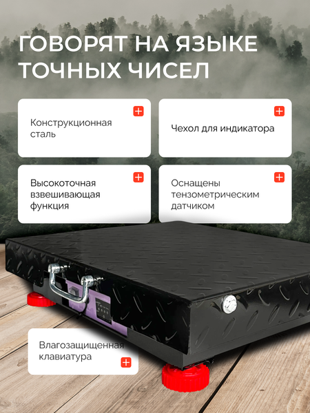 Весы платформенные Shtapler PW 300 42x52 / 71070610