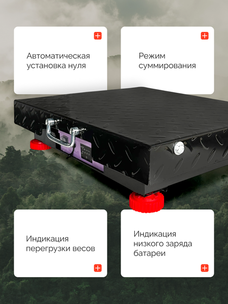 Весы платформенные Shtapler PW 300 42x52 / 71070610