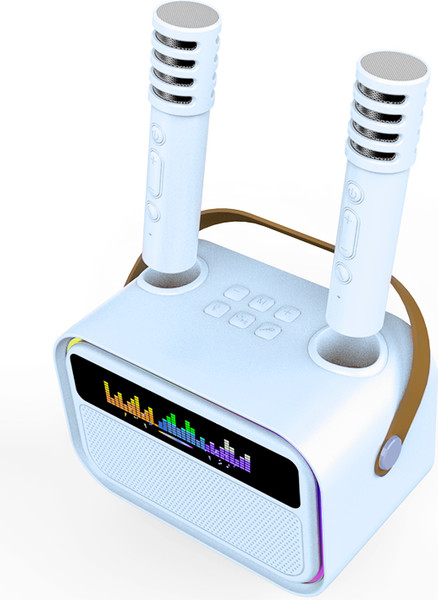 Портативная колонка Maxtop КК04 с двумя микрофонами / КК04B