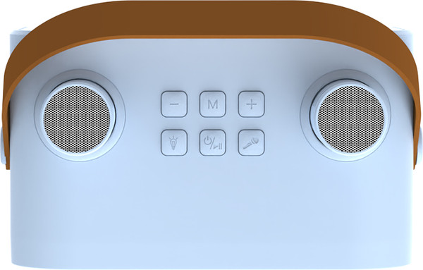 Портативная колонка Maxtop КК04 с двумя микрофонами / КК04B