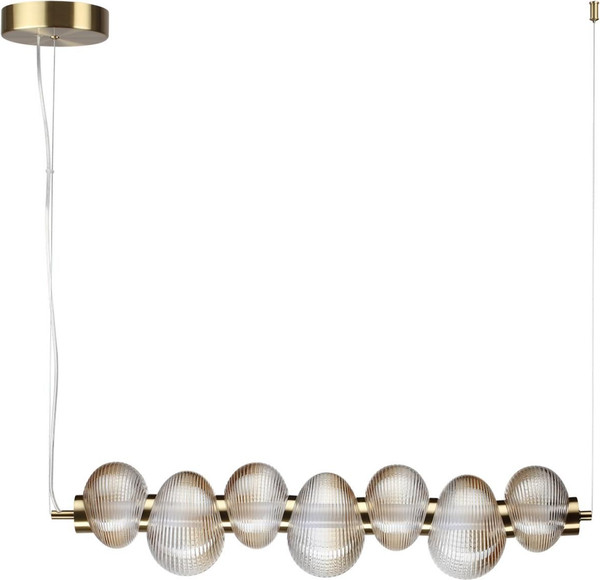 Потолочный светильник Odeon Light Bruco 5095/24L