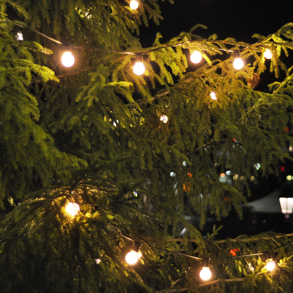 Садовая гирлянда Gauss Solar GS032