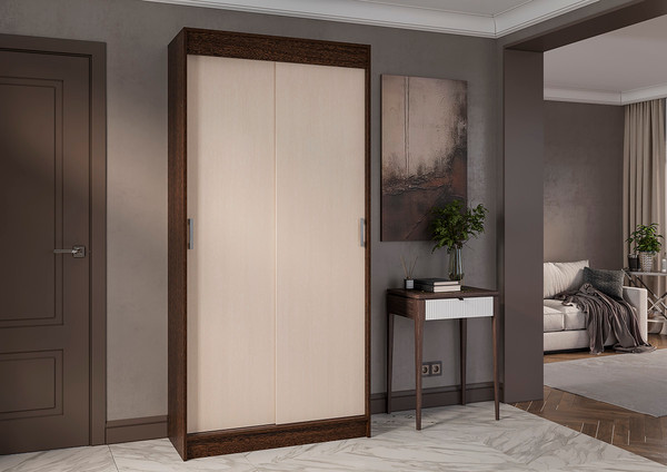 Шкаф-купе Тащи в дом Евро