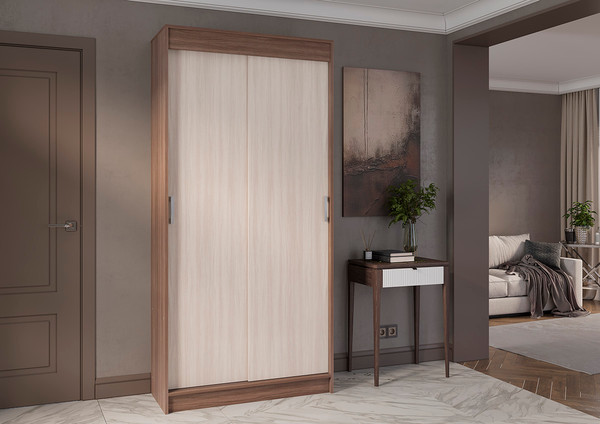 Шкаф-купе Тащи в дом Евро