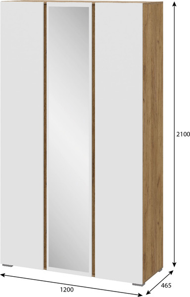 Шкаф Тащи в дом Люмо с зеркалом ШК 02