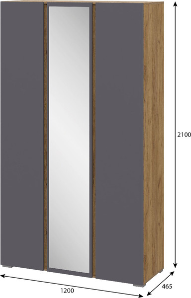 Шкаф Тащи в дом Люмо с зеркалом ШК 02