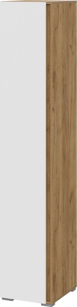 Шкаф-пенал Тащи в дом Люмо закрытый ПН 01 - фото