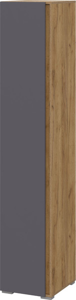 Шкаф-пенал Тащи в дом Люмо закрытый ПН 01 - фото