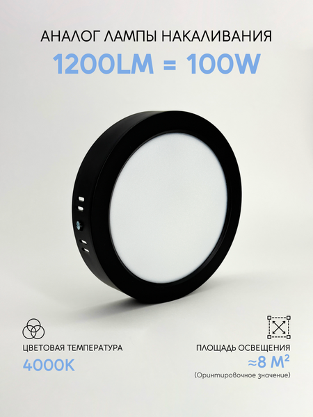 Потолочный светильник Truenergy 10116