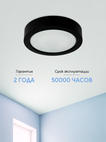 Потолочный светильник Truenergy 10116