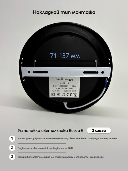 Потолочный светильник Truenergy 10116