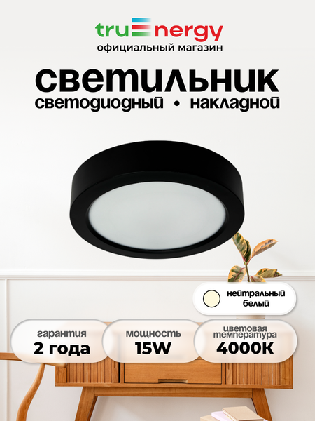 Потолочный светильник Truenergy 10116