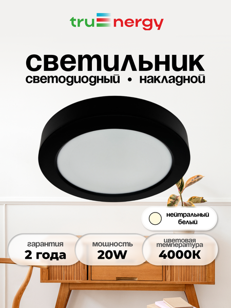 Потолочный светильник Truenergy 10117