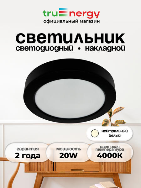 Потолочный светильник Truenergy 10117