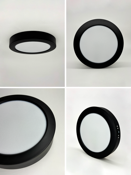 Потолочный светильник Truenergy 10117