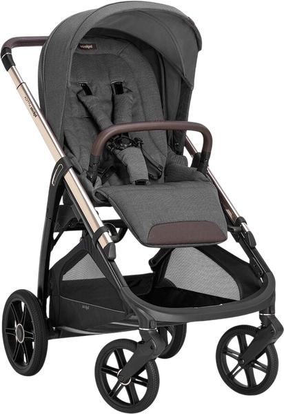 Детская прогулочная коляска Inglesina Aptica New / AG60S0VLG - фото