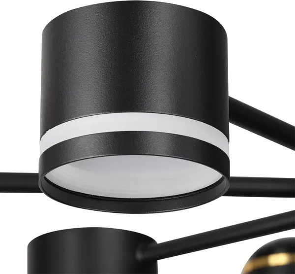 Люстра Lumion Virsava 8234/8C