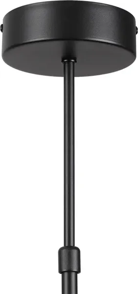 Люстра Lumion Virsava 8234/8C