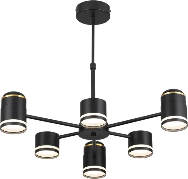 Люстра Lumion Virsava 8234/6C - фото