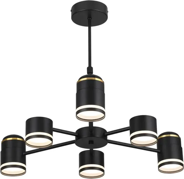 Люстра Lumion Virsava 8234/6C