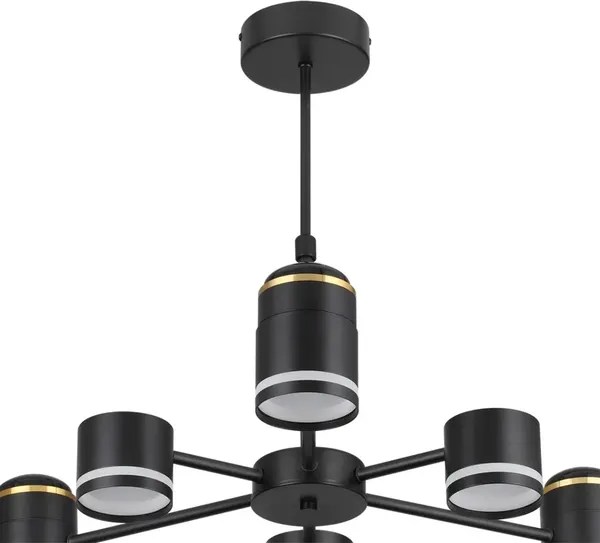 Люстра Lumion Virsava 8234/6C