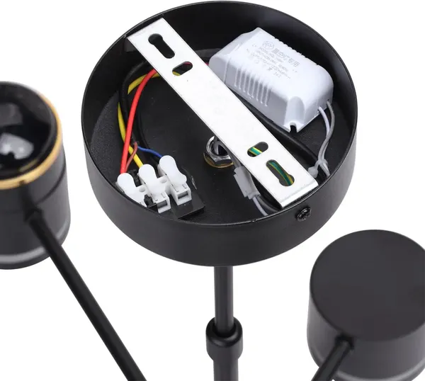 Люстра Lumion Virsava 8234/6C