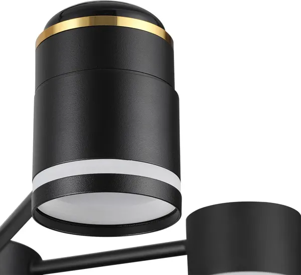 Люстра Lumion Virsava 8234/6C