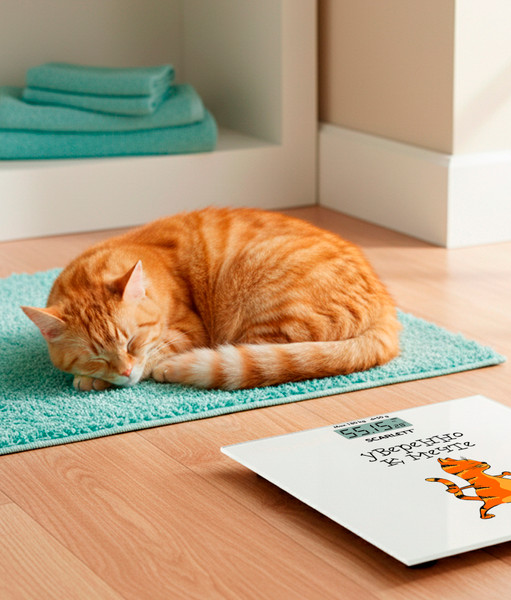 Напольные весы электронные Scarlett SC-BS33E104