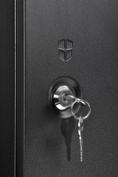 Шкаф телекоммуникационный ЦМО ШРН-Э-9.350.1-9005