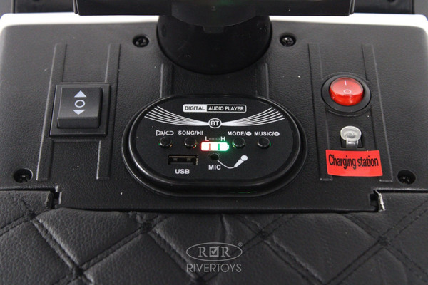 Детский автомобиль RiverToys G009GG