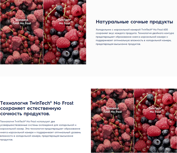 Холодильник с морозильником Electrolux E6MNTE19S