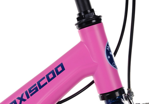 Детский велосипед Maxiscoo Jazz Стандарт Плюс 2024 / MSC-J1632